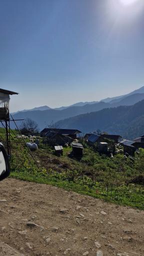 عکس اولسبلانگاه