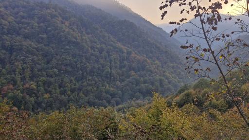 عکس اولسبلانگاه