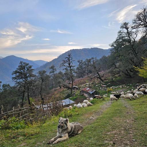 عکس اولسبلانگاه