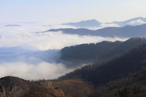 عکس اولسبلانگاه