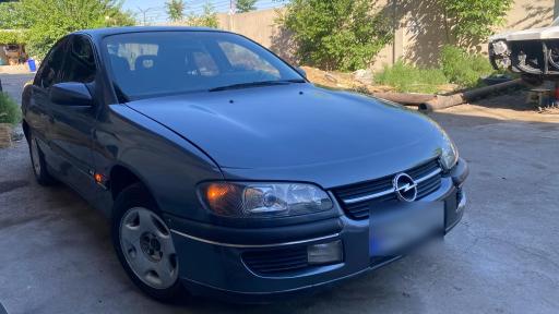 عکس شوی لند