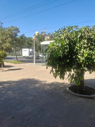 عکس  مفتح شرقی 7