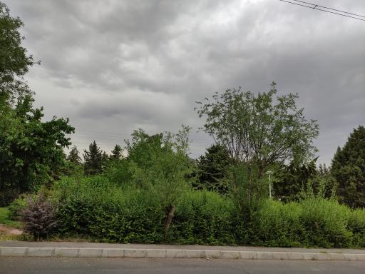 عکس بوستان شبنم