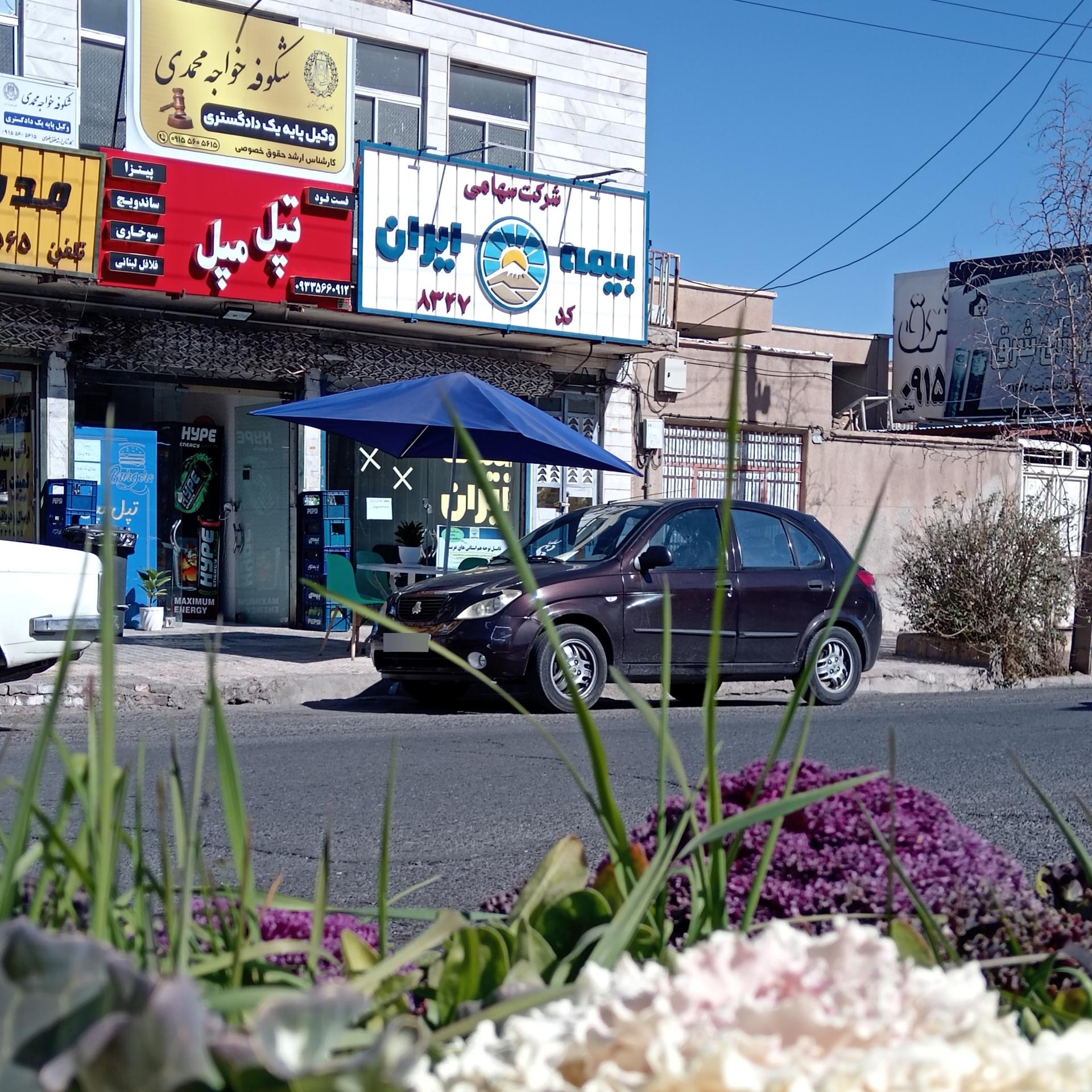 عکس فست فود تپل مپل