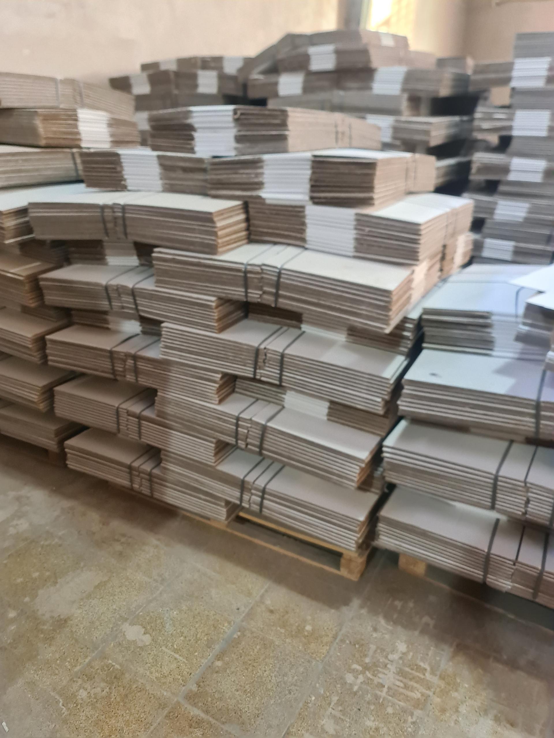 عکس کارتن سازی سارا