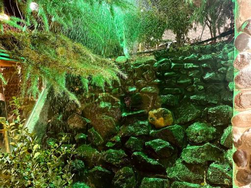 عکس باغچه رستوران فانوس 