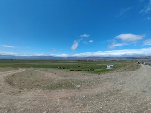 عکس مینق