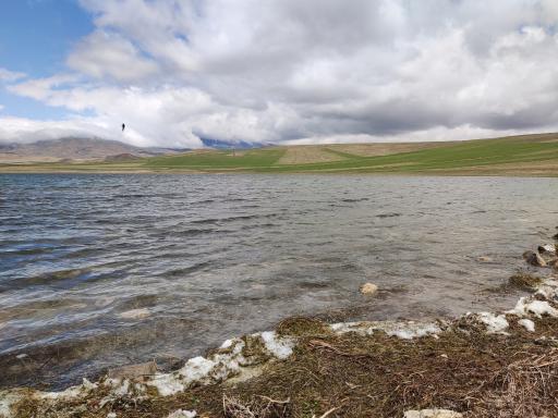 عکس مینق