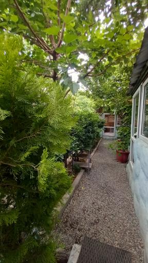 عکس باغچه رستوران فانوس 