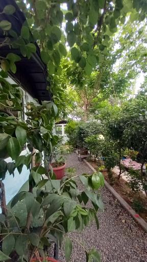 عکس باغچه رستوران فانوس 