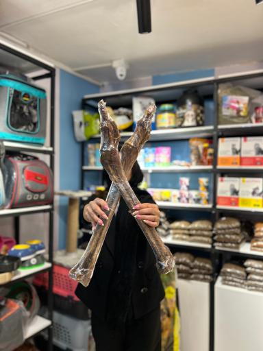 عکس مجموعه خدمات حیوانات خانگی هاچیکو