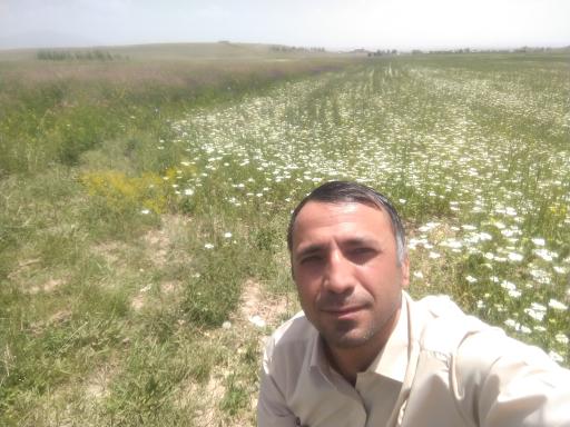 عکس مینق