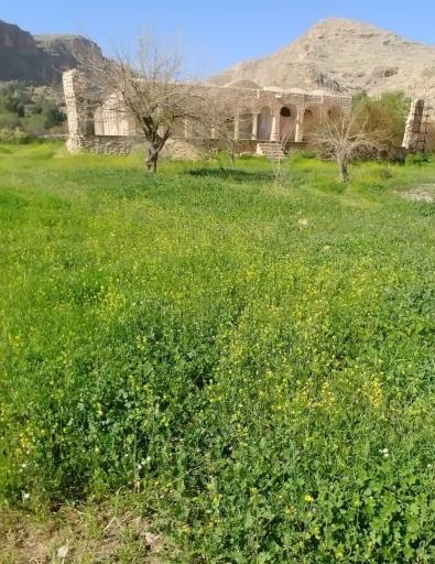 کوشک نور آباد