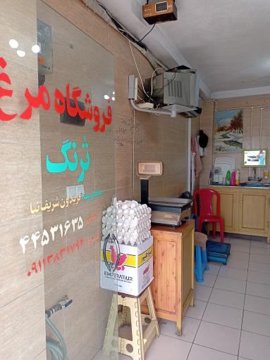 عکس مرغ فروشی مرغکده