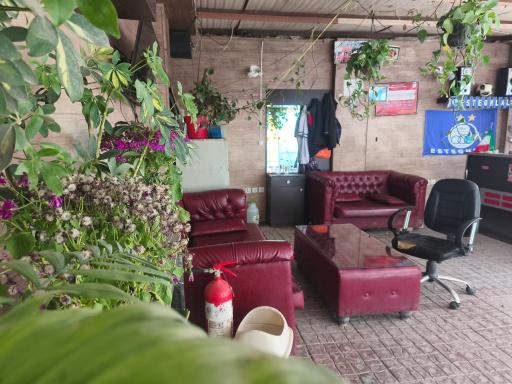 عکس کارواش مهرعلیان