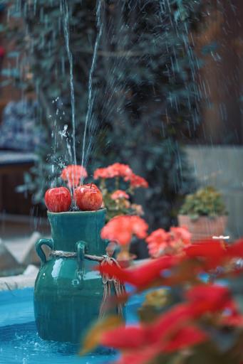 عکس اقامتگاه بومگردی خانه راد