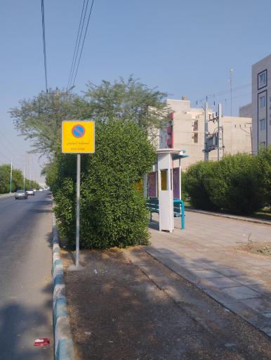 عکس زیتون کارمندی