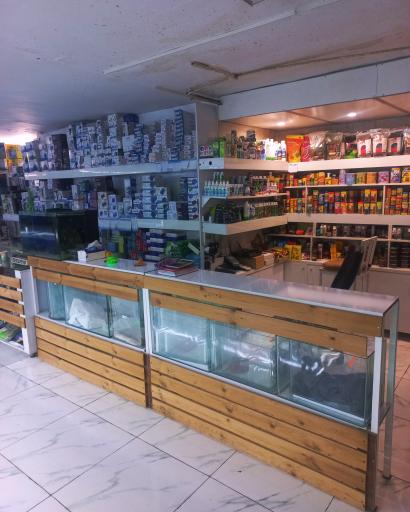 عکس آکواریوم باربد