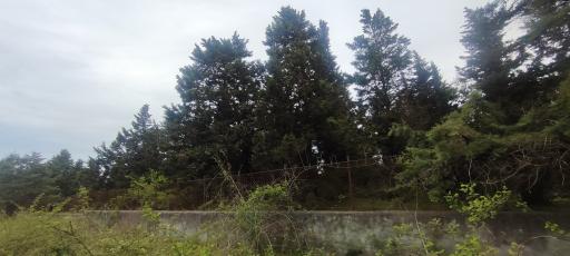 عکس اداره شیلات بندر کیاشهر