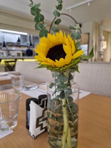 عکس رستوران مویا