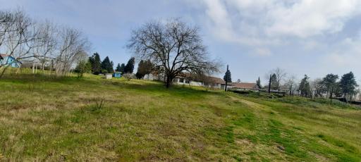 عکس اداره شیلات بندر کیاشهر