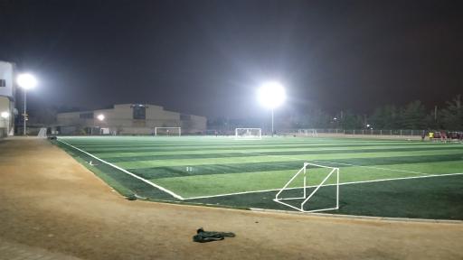 عکس چمن مصنوعی ۱۵ خرداد