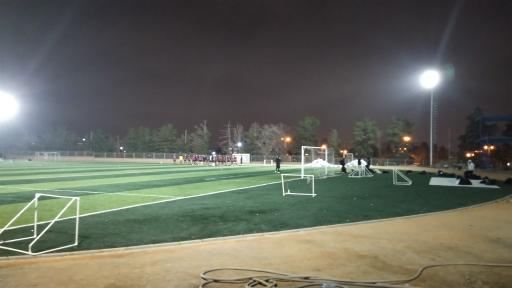 عکس چمن مصنوعی ۱۵ خرداد