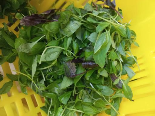 عکس سبزیجات آماده به طبخ چوچاق 