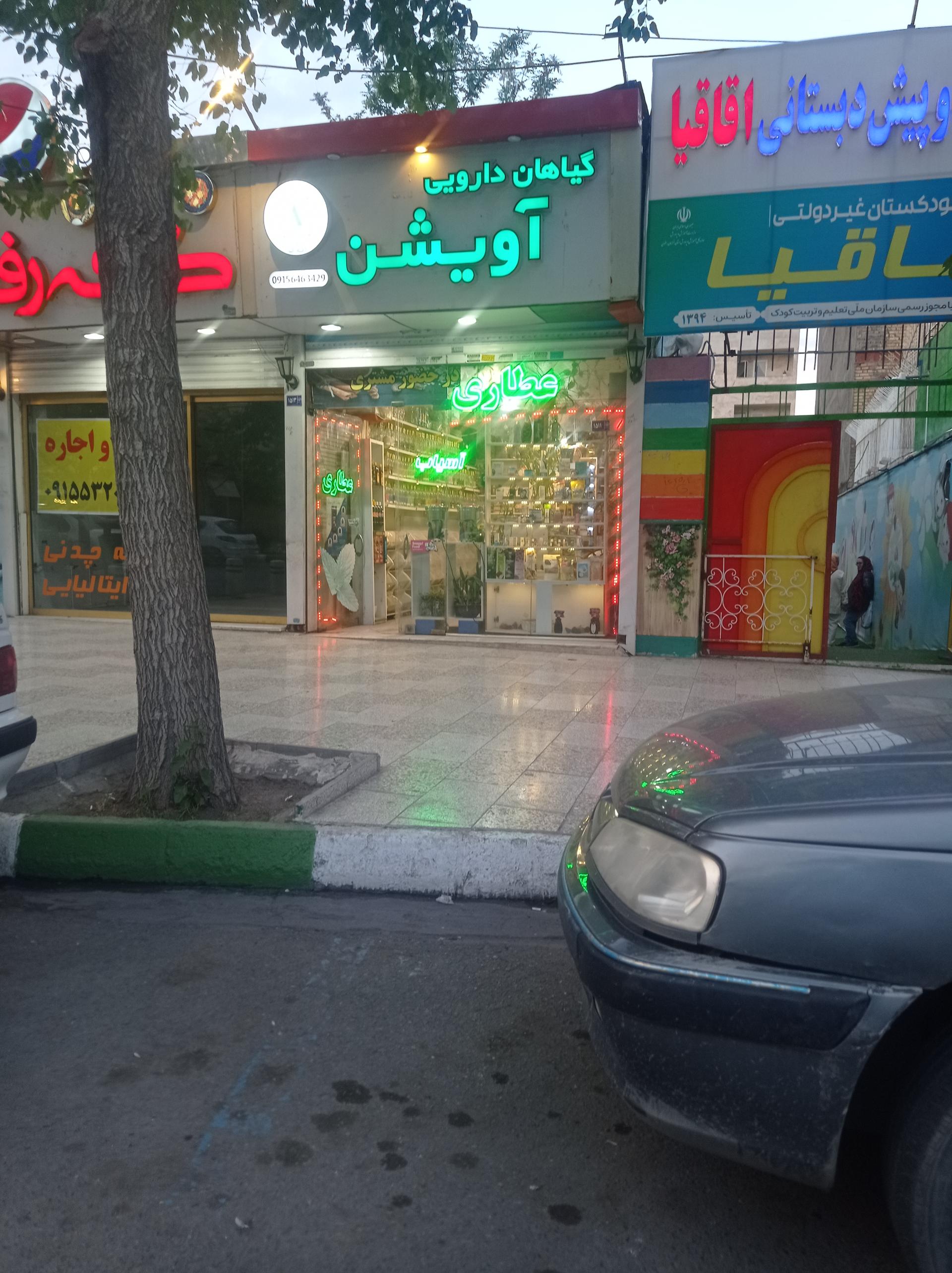 عکس گیاهان دارویی آویشن