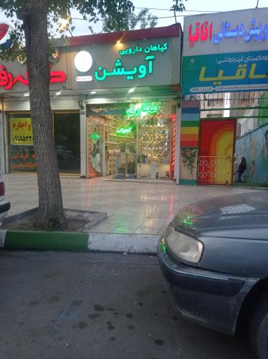 عکس گیاهان دارویی آویشن