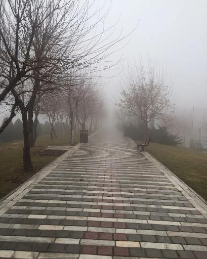 عکس بوستان همیلا