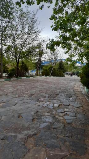 عکس بوستان همیلا