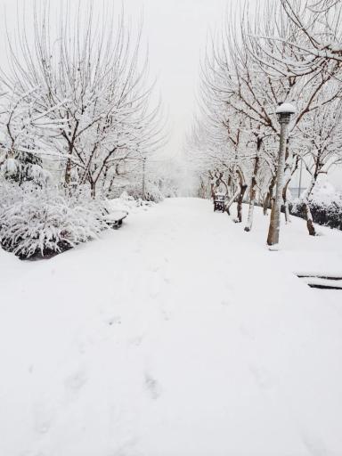 عکس بوستان همیلا