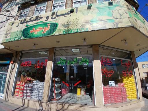 عکس خشکبار توحید