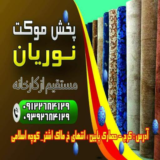 عکس پخش موکت نوریان 