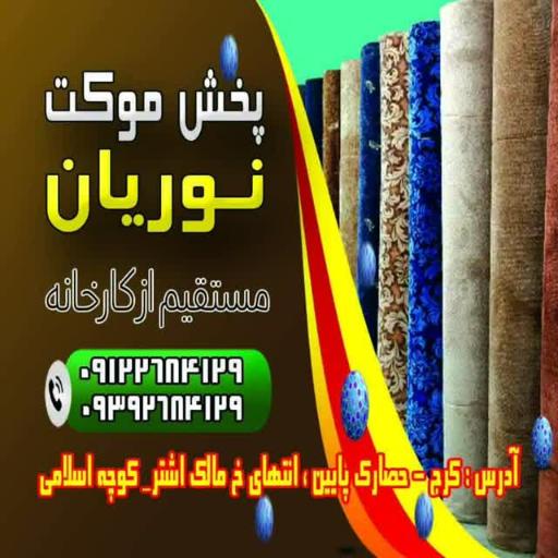 عکس پخش موکت نوریان 