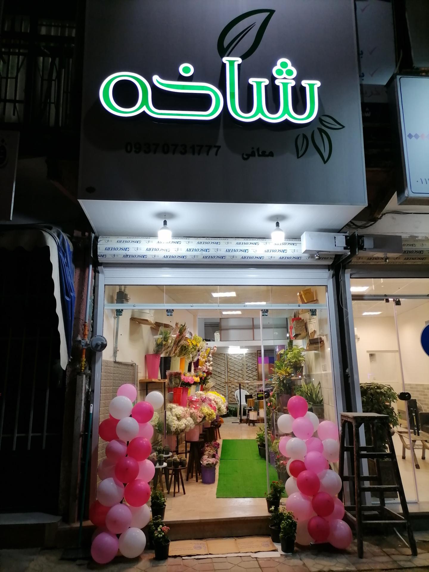 عکس گل فروشی شاخه