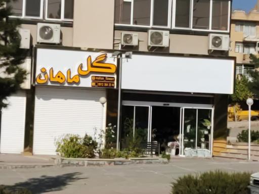عکس گل فروشی ماهان