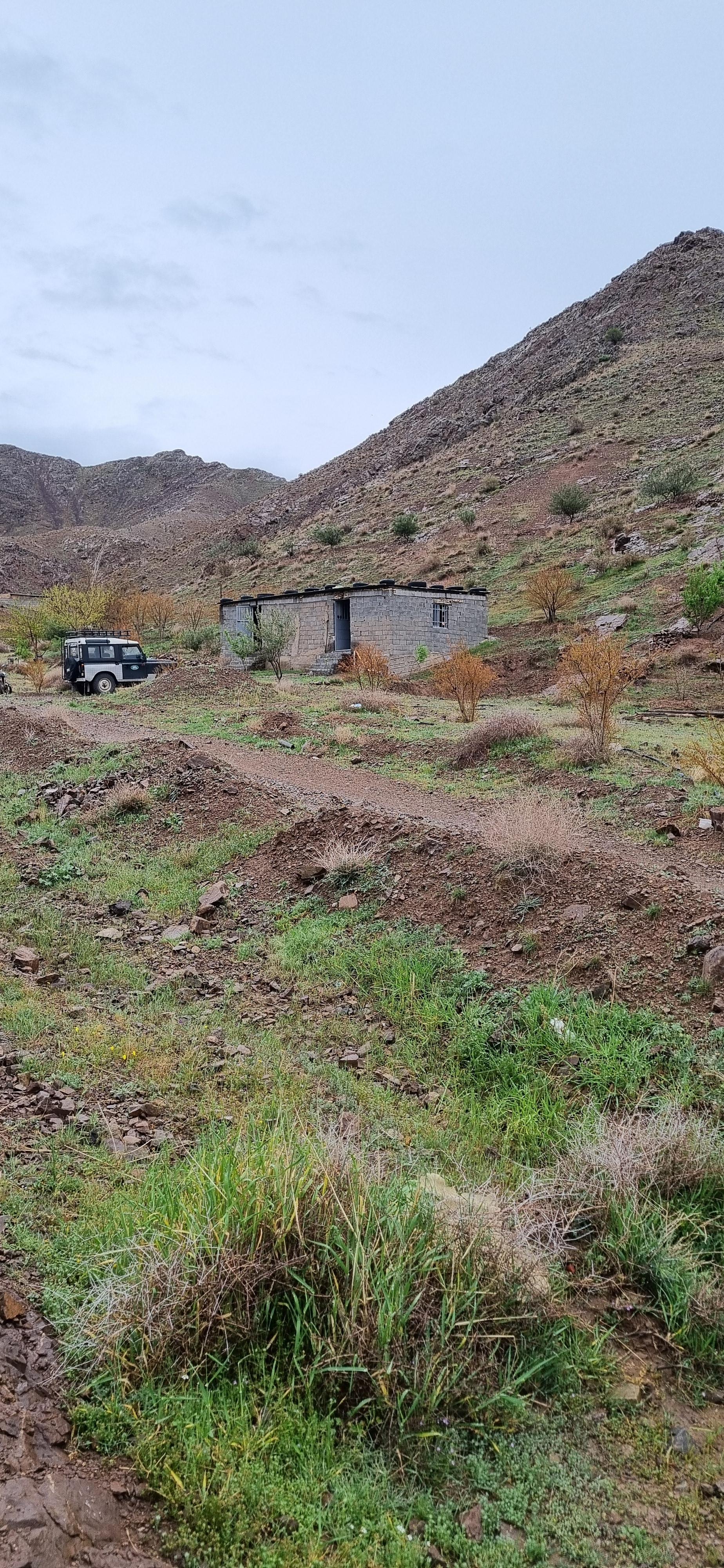 عکس نهالستان مهدی کلهر