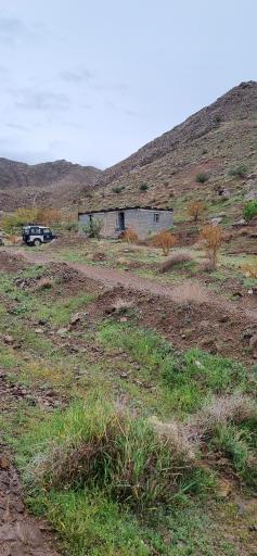 نهالستان مهدی کلهر