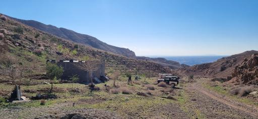 نهالستان مهدی کلهر