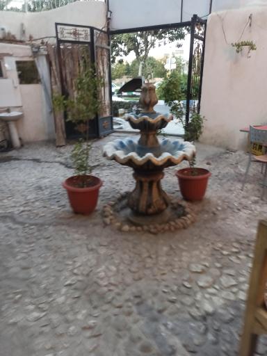 عکس کبابی محمد