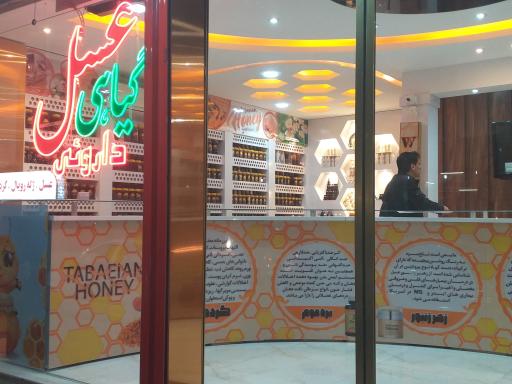 عکس عسل طباییان