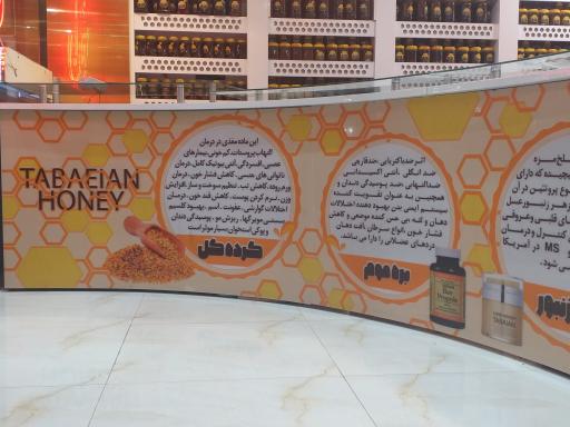 عکس عسل طباییان