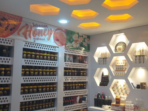 عکس عسل طباییان