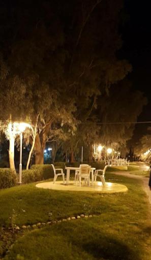 عکس پیتزا آمیرزا