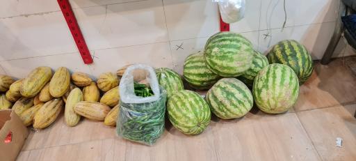 عکس میوه فروشی صداقت