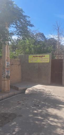 عکس صنایع چوب جام جم