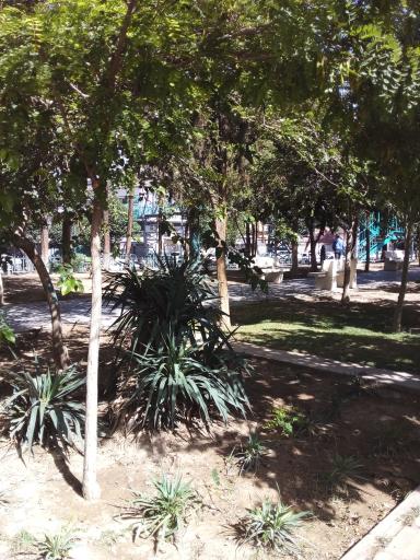 عکس بوستان زکریای رازی