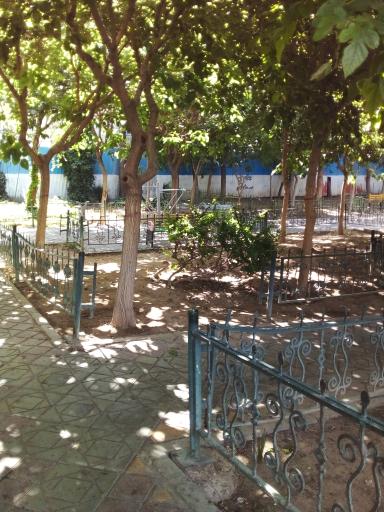 عکس بوستان زکریای رازی